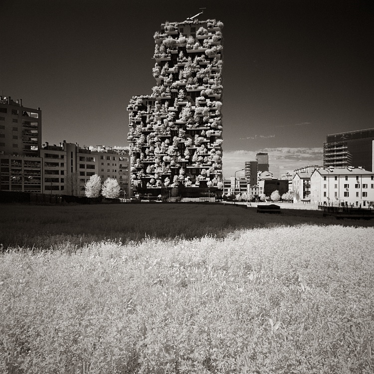 Bosco Verticale