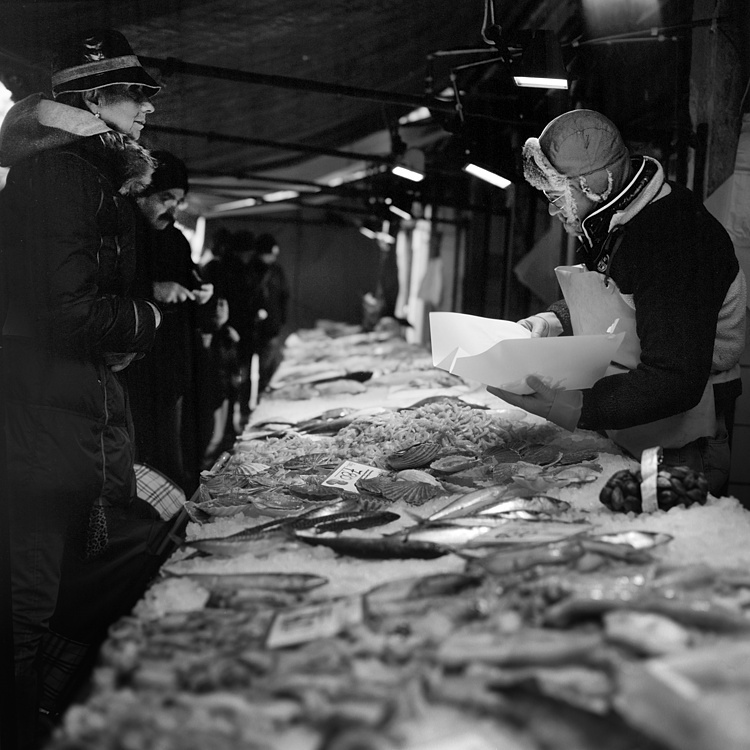 Venezia, mercato del pesce